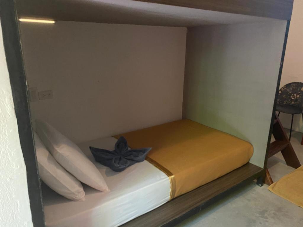 Lexias Hostel And Workspace - Siargao Catangnan Εξωτερικό φωτογραφία